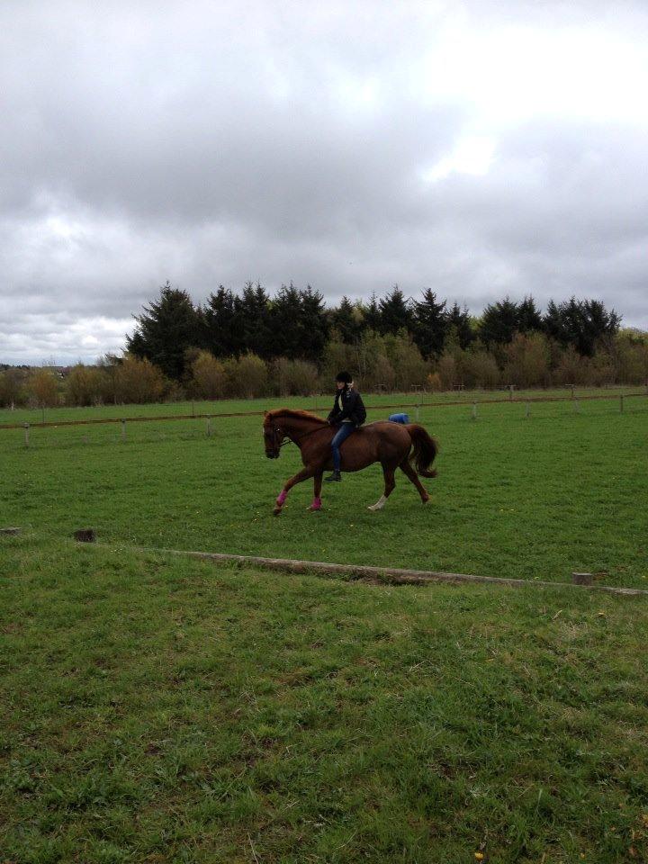 Anden særlig race Mr. Lonely [Der var engang..] billede 13