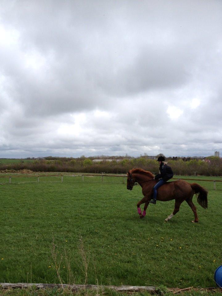 Anden særlig race Mr. Lonely [Der var engang..] billede 14