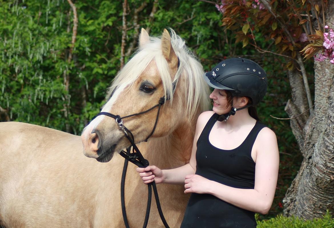 Welsh Cob (sec D) Rosalinde - Rosa og jeg =D 19 Maj =D billede 8