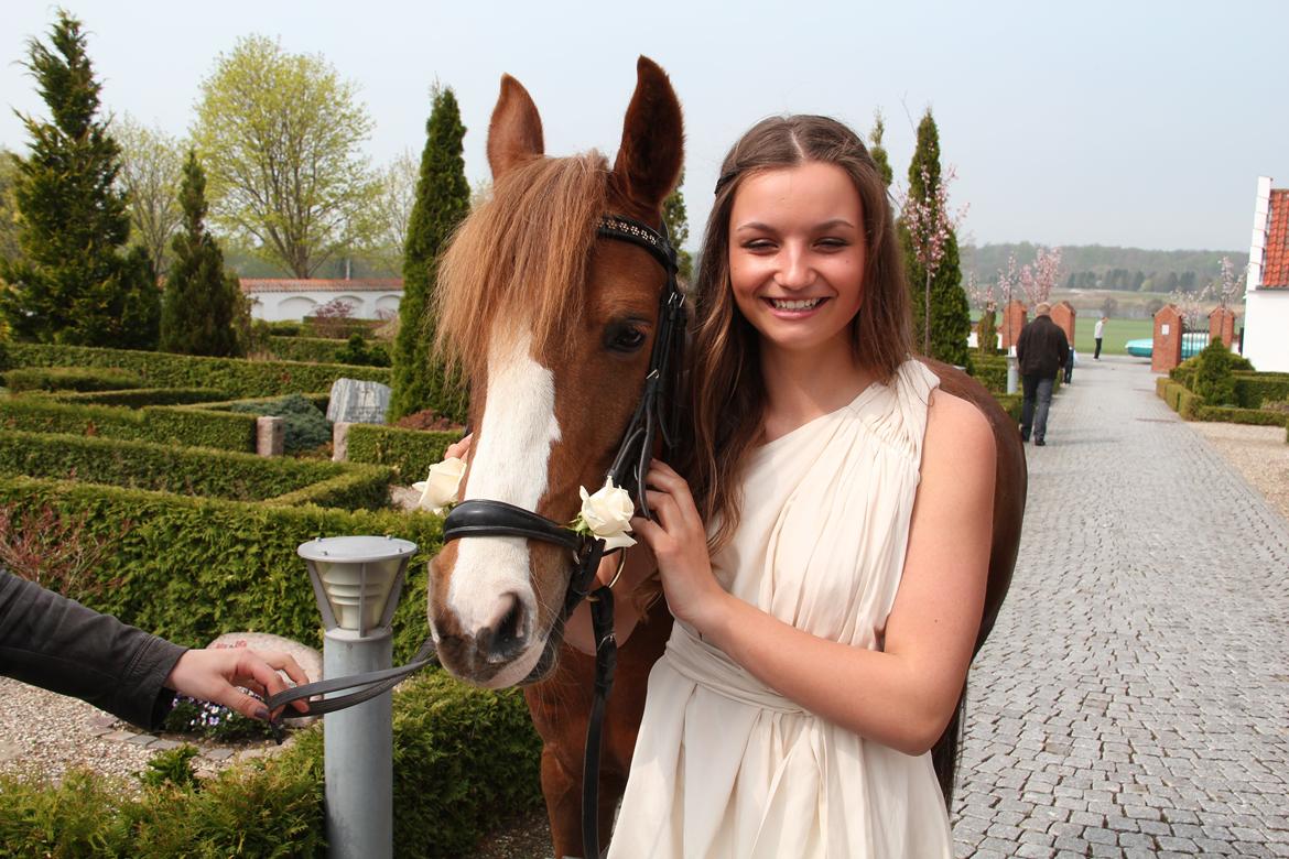 DSP Burton´s Empire (EMMI) - verdens bedste konfirmation! billede 2