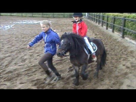 Knabstrupper Gizmo [min søsters pony] - NYT Første gang jeg galoprede på ham ;)  billede 13