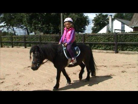 Knabstrupper Gizmo [min søsters pony] - NYT Sommeren 2012 ;) billede 14