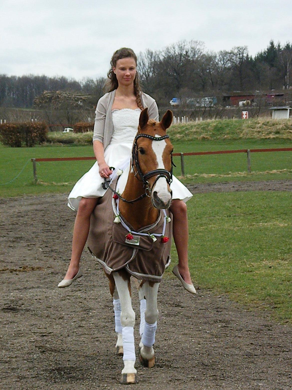 Anden særlig race Trebjerregårds Grand Manier - På vej mod de voksnes rækker, dog i en rolig skridt..<3 billede 17