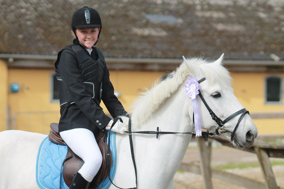 Anden særlig race Bandit <3 - Soulmate - Lige efter fejlfri runde til maj stævne :-) billede 15