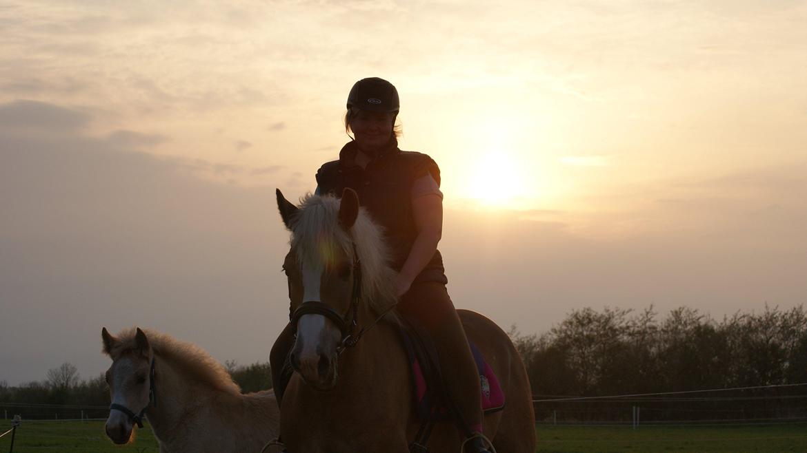 Haflinger Edda-Fiamona - Aften ridetur med følle billede 10