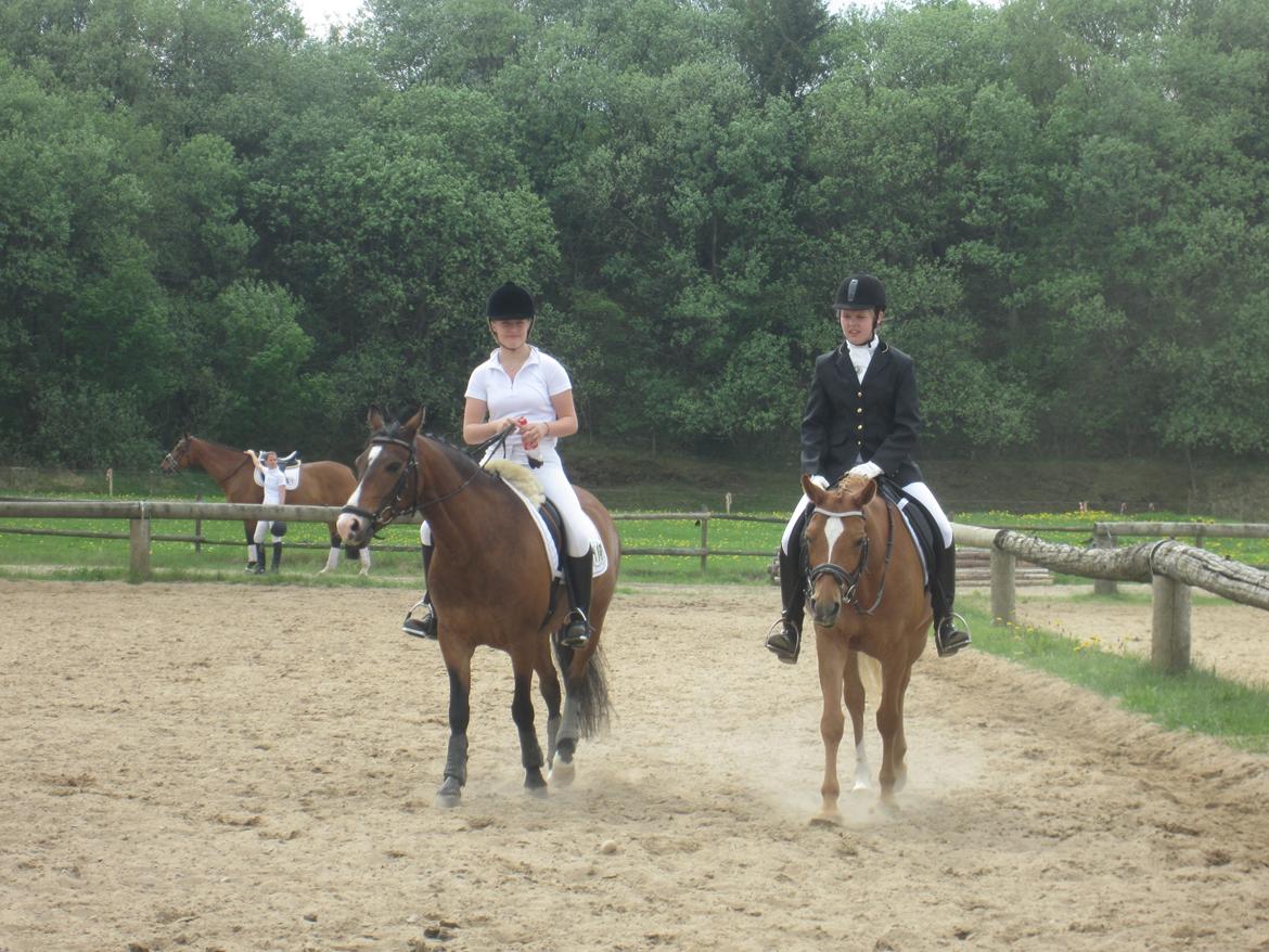 DSP LIND'S PENELOPE M. - Stævne i struer..<3 Sammen med Maria og Kildiboy:-) billede 8