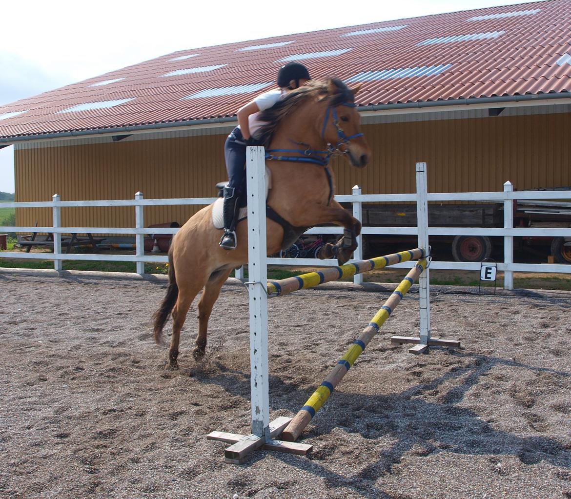 Anden særlig race Albert - 20 maj 2013
 billede 19