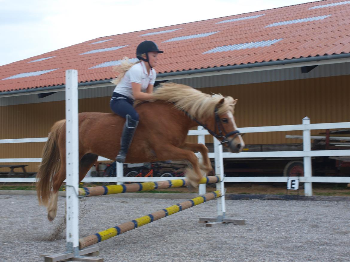 Anden særlig race Fie - 20 maj 2013.
Uden sadel, og ikke i form Stolt af min pony billede 17