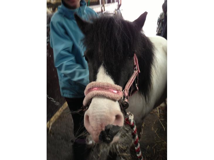 {{currentPhoto.altText}} billede {{currentPhoto.number}}