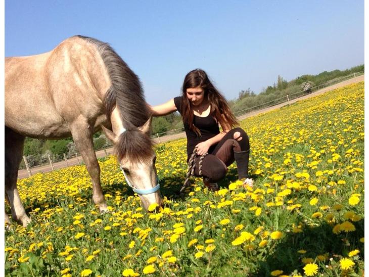 {{currentPhoto.altText}} billede {{currentPhoto.number}}