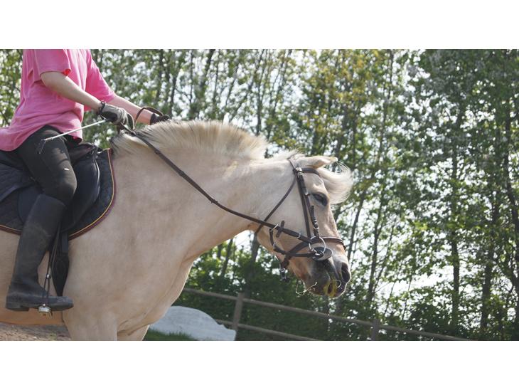 {{currentPhoto.altText}} billede {{currentPhoto.number}}