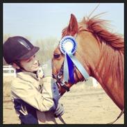 Arabisk fuldblod (OX) Ka Felina ox