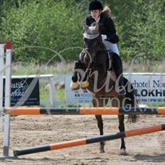 DSP Stidsbjergs champion