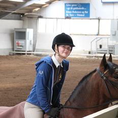 Welsh Cob (sec D) De Busies High Spirit