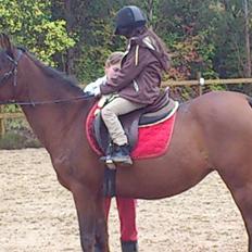 Anden særlig race Lady