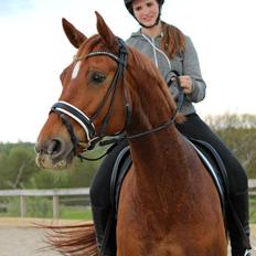 Tysk Oldenburger Rosenwelt