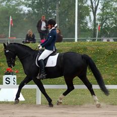 Oldenborg Evita af Hvarre