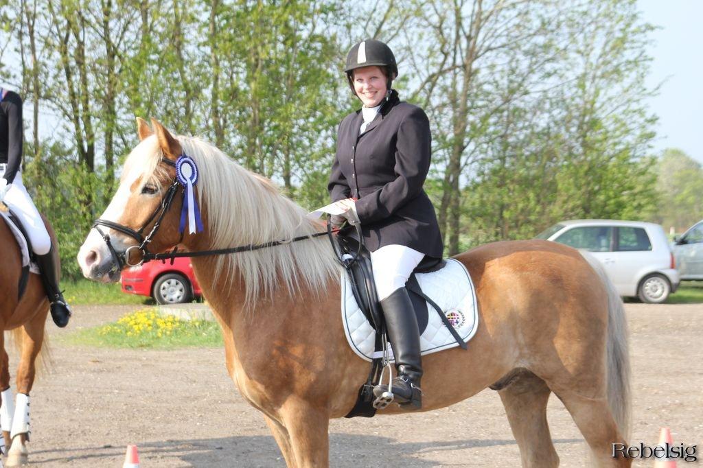 Haflinger Laban - 2. plads i LD2 til vore første stævne nogensinde!  billede 13