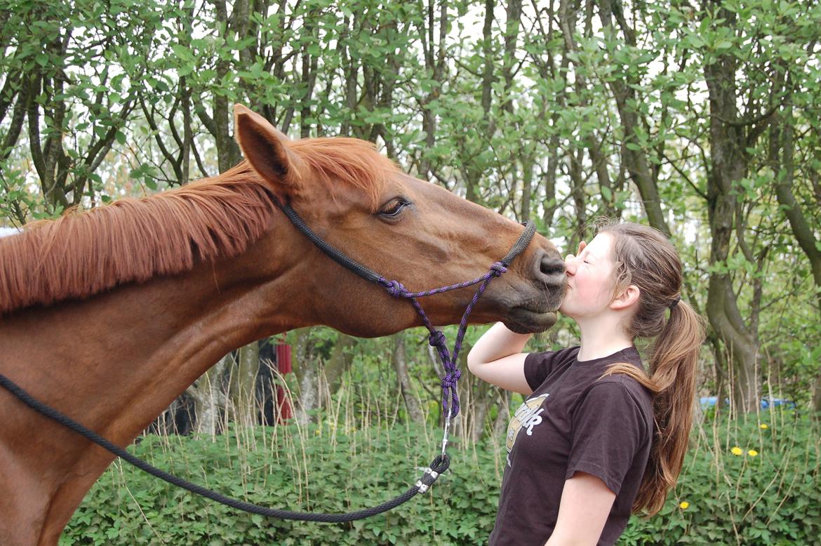 Anden særlig race Charming Sahlina billede 15