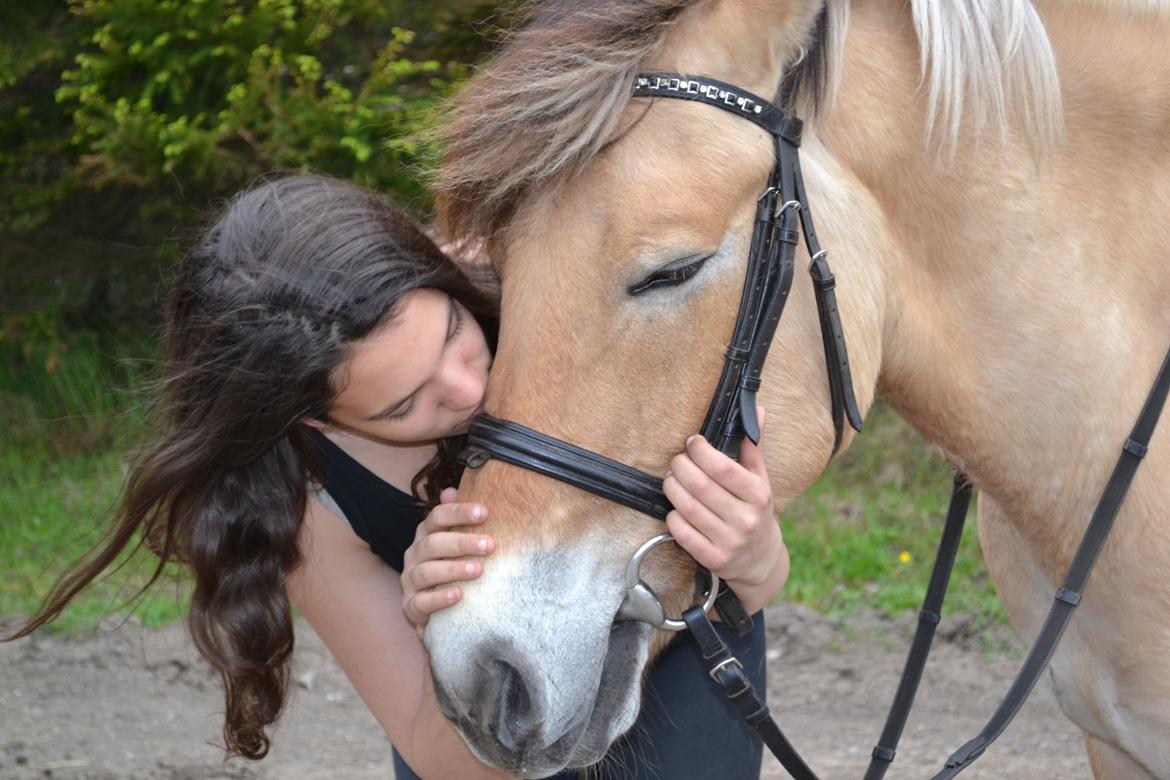 Anden særlig race Lukas [Tidl. hest] billede 9