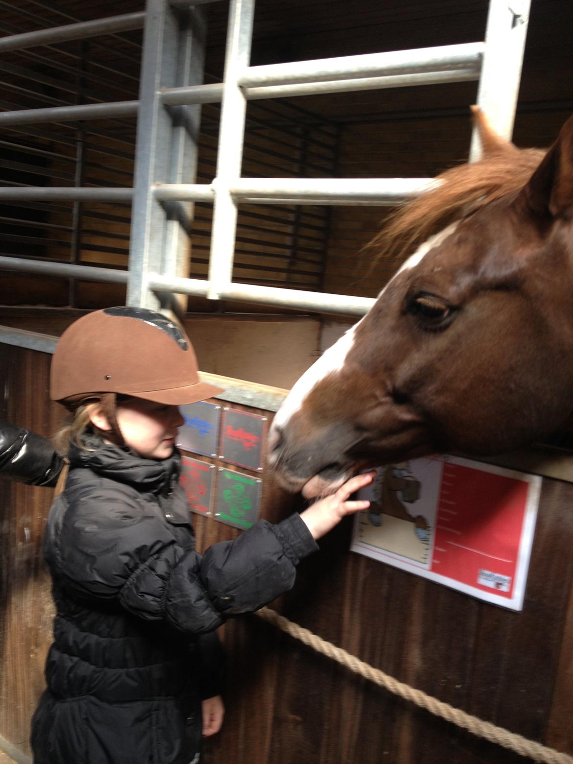 DSP Markant. SOLGT! - Marksnt nyder at have fået en rigtig sød ny ejer ;-) billede 19