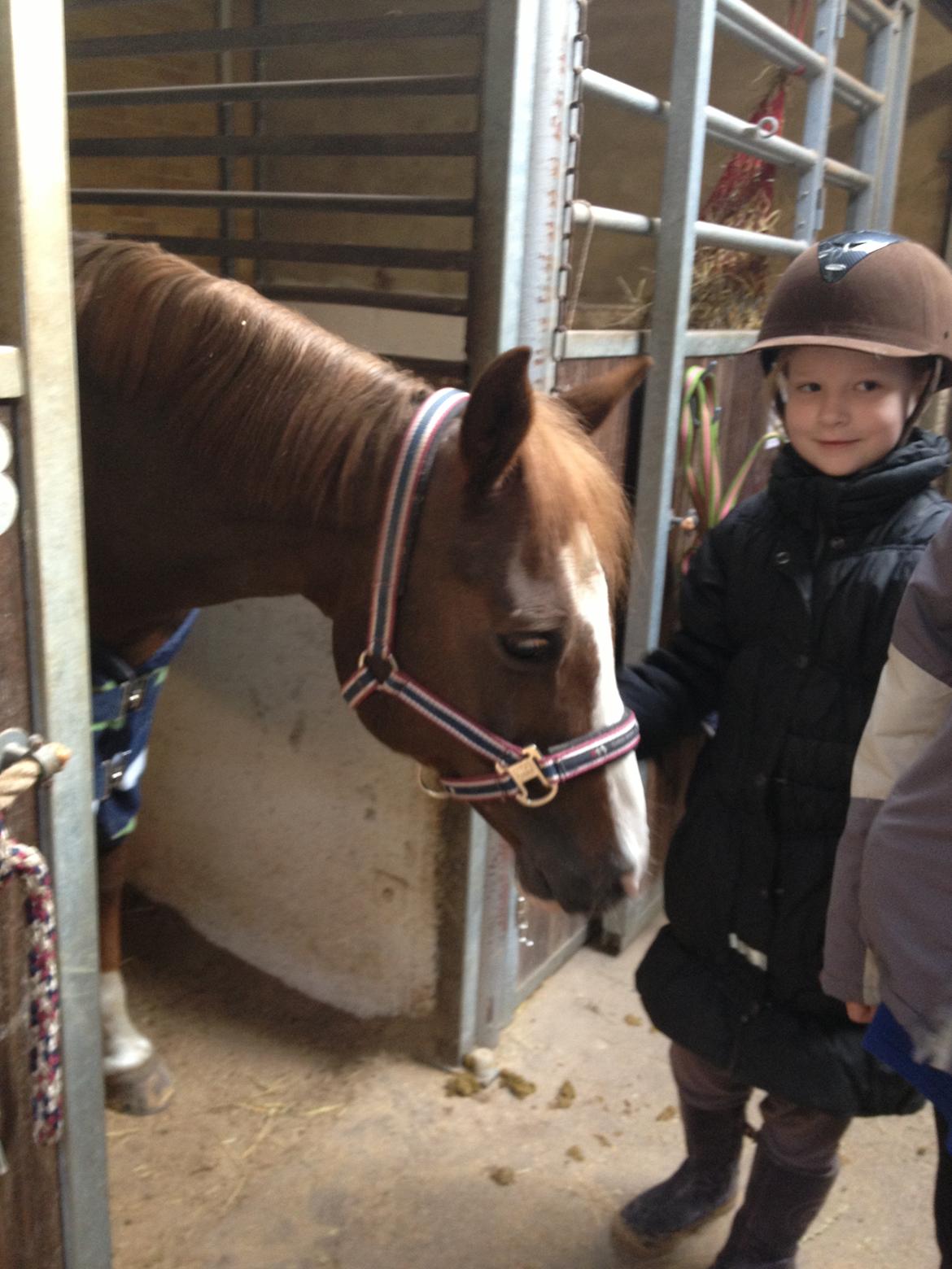 DSP Markant. SOLGT! billede 20