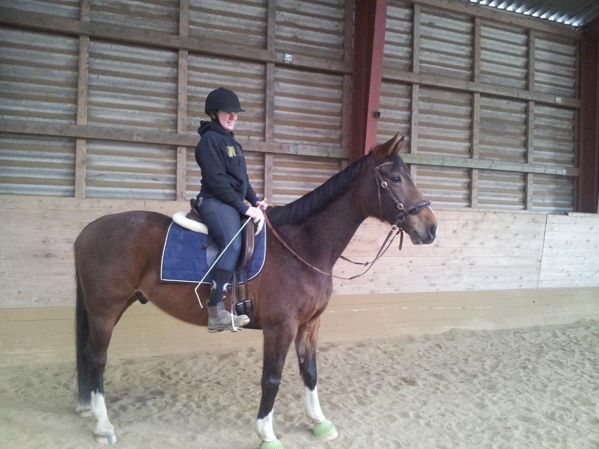 Anden særlig race Fanfare billede 7