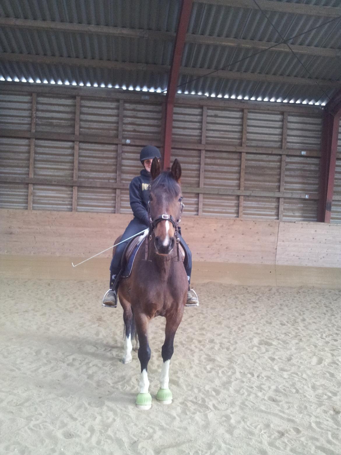 Anden særlig race Fanfare billede 8