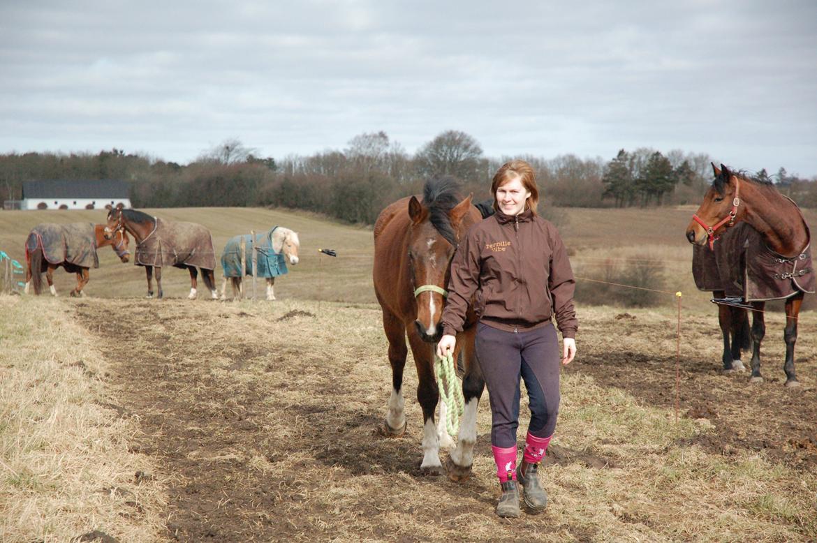 Anden særlig race Fanfare billede 9