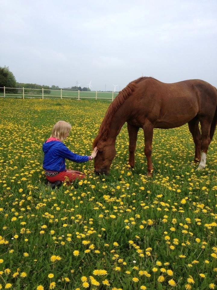 Anden særlig race Mr. Lonely [Der var engang..] - På de evige græsmarker.. Her mødes vi snart igen.. Ikk'? :'( billede 18