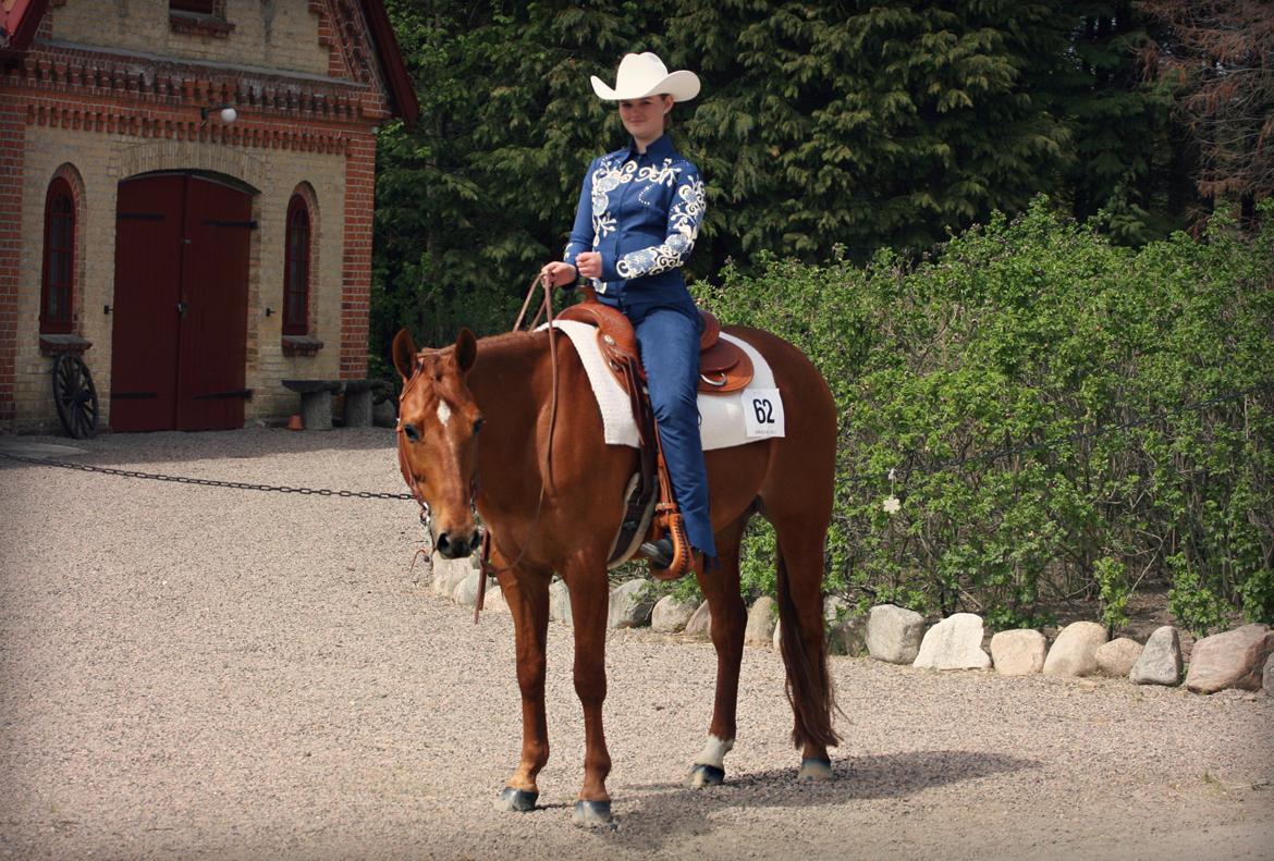 Quarter Little Mega Jac - Bökeberg Challenge, maj 2013. Et super fedt stævne, hvor vi blandt andet lavede topscoren i Western Riding på hele 73.5! :-) billede 15