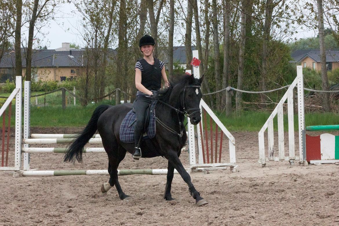 Anden særlig race Timon - Træning ;D billede 5