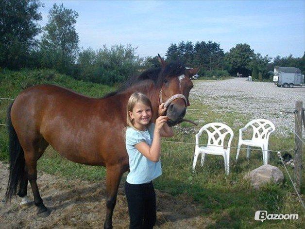 Anden særlig race Fiona (honey) billede 9