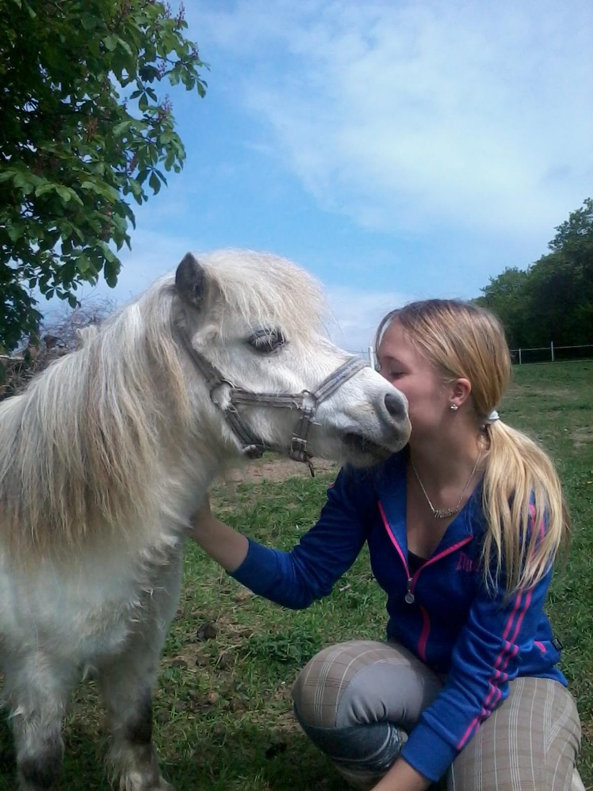 Miniature Casie - Et kys til dig <3 billede 6