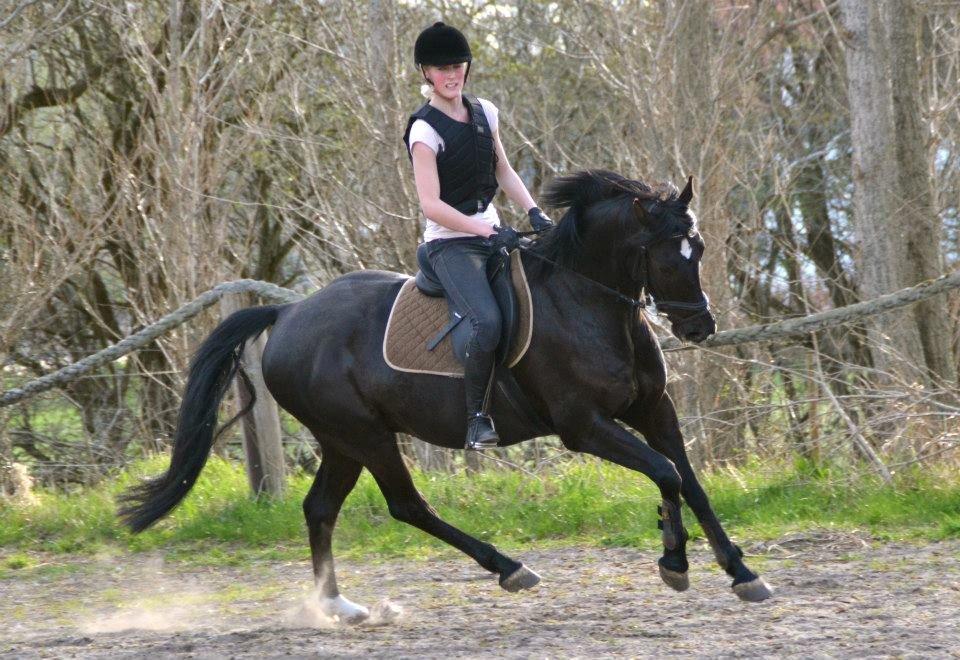 Anden særlig race Timon - 3. springtræning udendørs :) taget af karoline billede 12