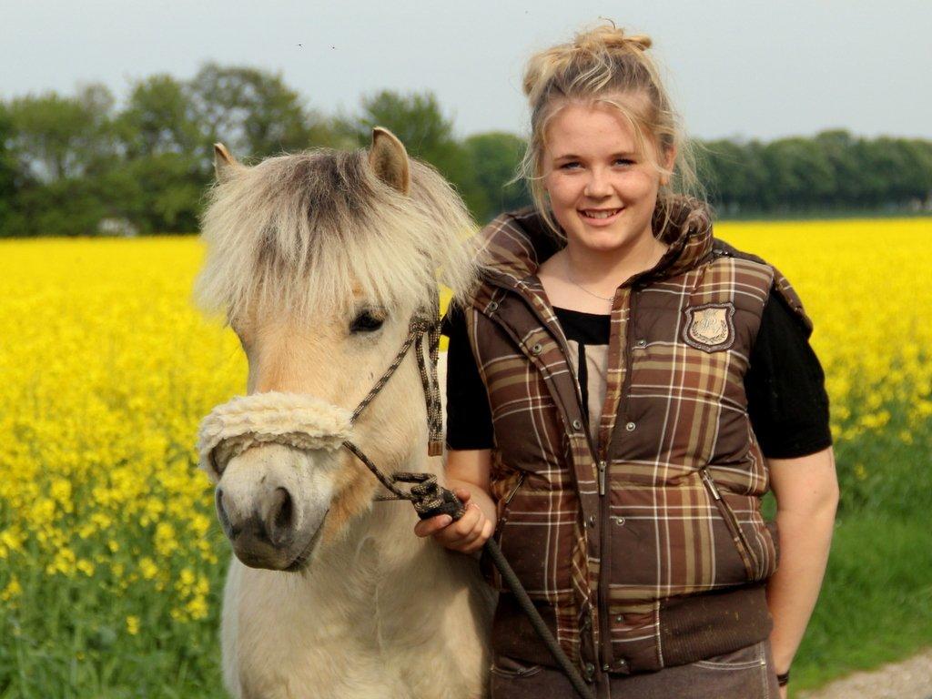 Fjordhest Egebæks Kasio. - Rapsmarkerne - 2013 billede 13