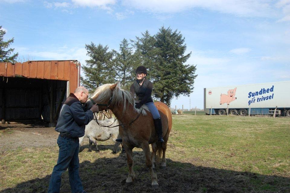 Haflinger Princess - Første gang med rytter på :) billede 14