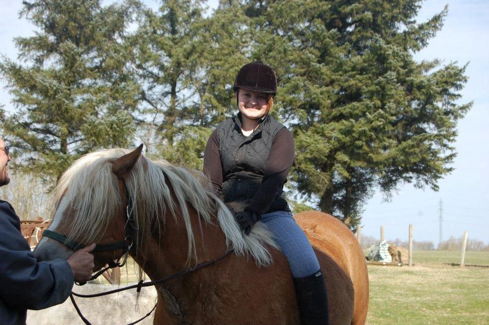 Haflinger Princess billede 15