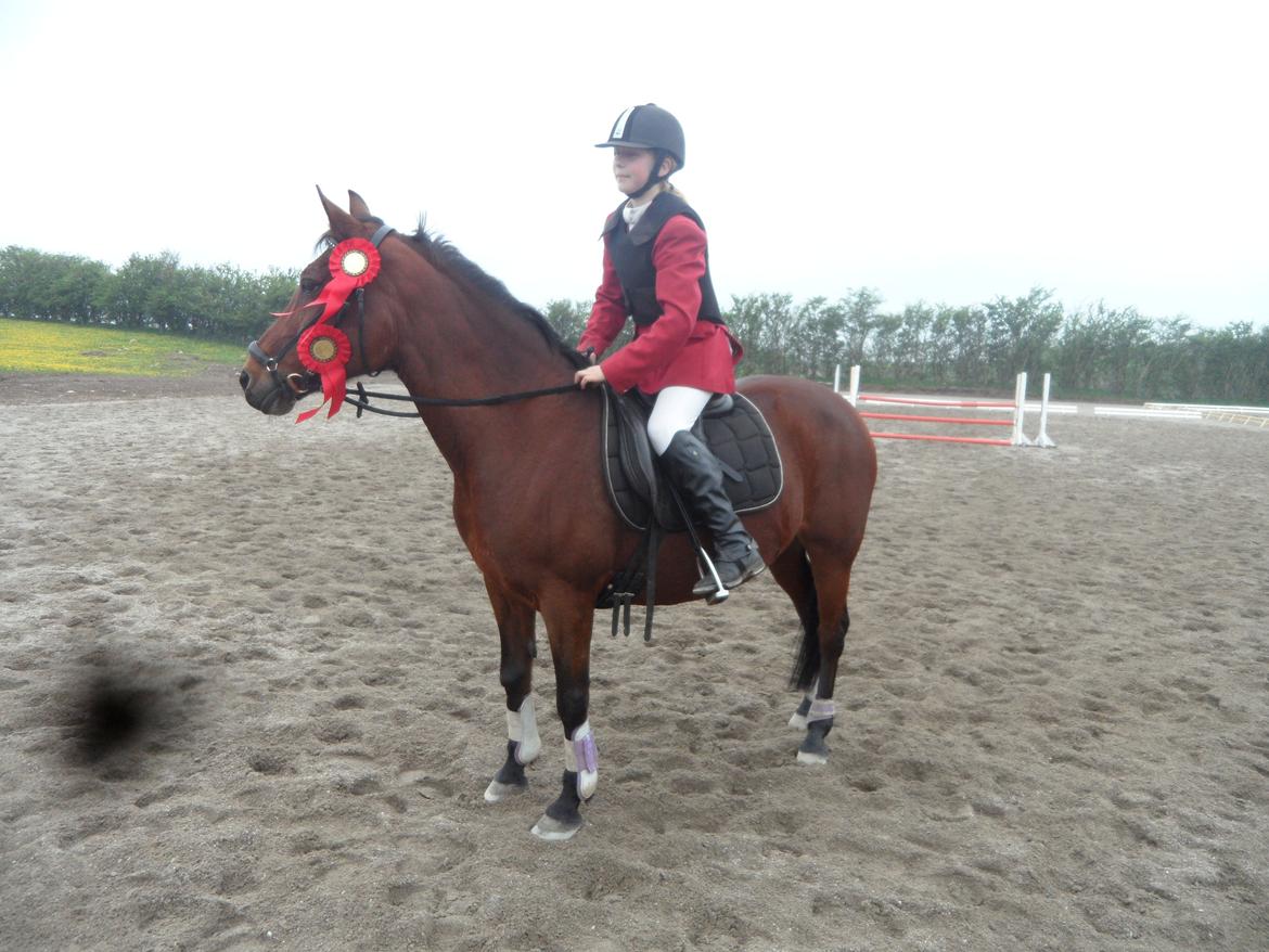 Hollandsk Sportspony Melanie's Lady  B-PONY - Mig og Melanie´s Lady første stævne sammen
Hun var så sød og vi hæv to flotte sløjfer med hjem
Elsker dig Lady-Mus billede 14