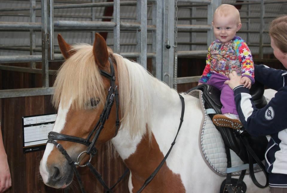 Pinto Cherry billede 15