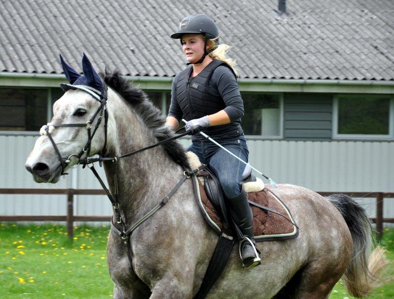 Anden særlig race Hegnsholts Felix - Springtræning 20.05.13 billede 18