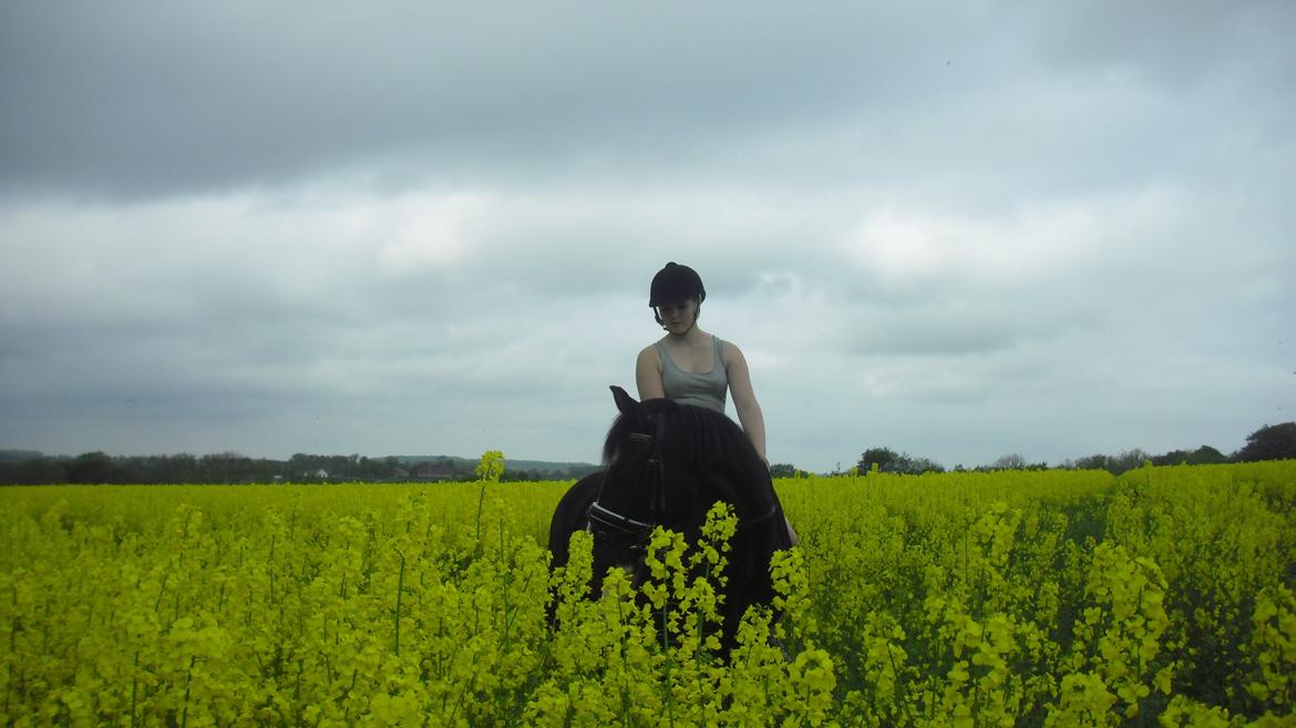 Anden særlig race Bertil - Bertil og jeg på vores 2års dag. 20-05-2013. billede 5