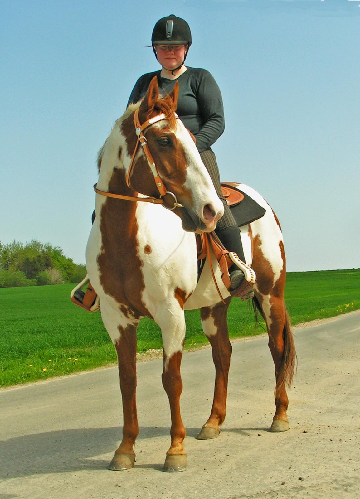 Paint SUPREME MEGA SNOW billede 8