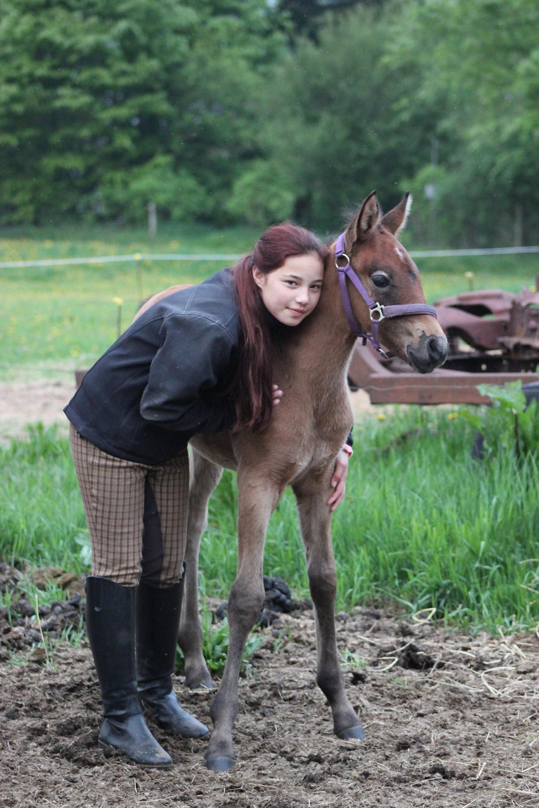 Anden særlig race Amigo billede 4