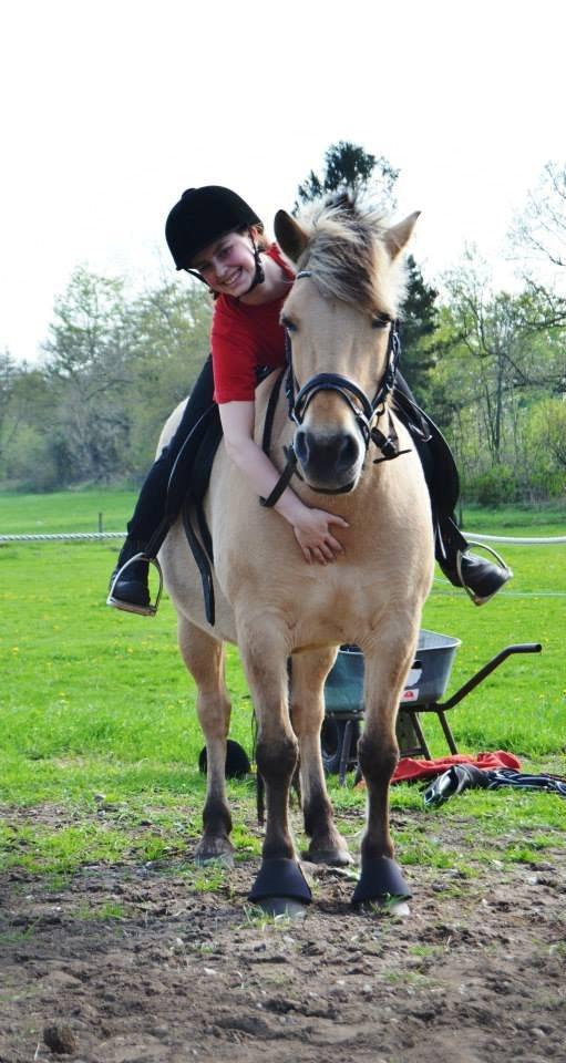 Fjordhest Nelly <3 - Jeg elsker dig Nelly!<3 billede 8