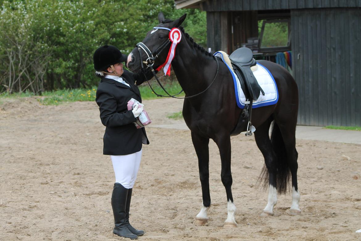 Dansk Varmblod DIA DE CANNON - Dia syndes hun fortjente et kys, efter hendes andet dressur program! ;) <3 billede 18