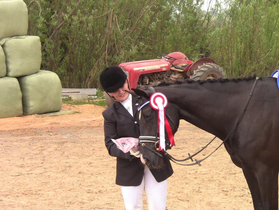 Dansk Varmblod DIA DE CANNON - Jep, hun vandt heste bolsjer ;)  billede 21