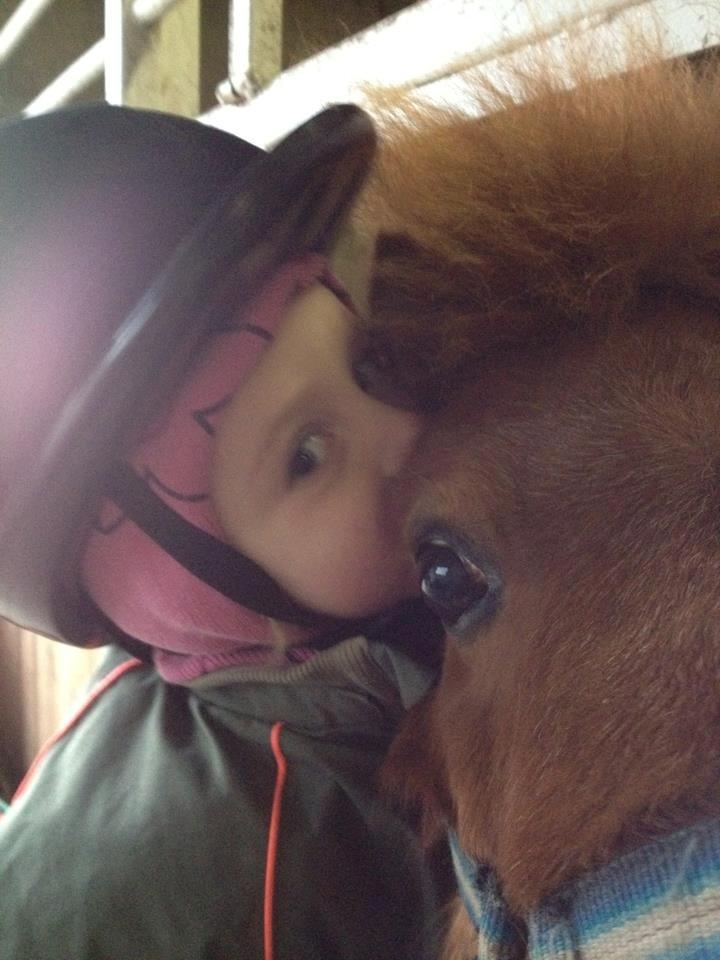 Shetlænder Klaus - Klaus og hans veninde Mie billede 12