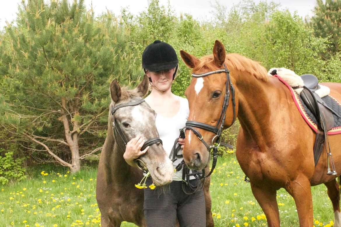 Dansk Varmblod Madame Bally - Bally og hendes "bedste ven" Desna i børneskoven ;) billede 17