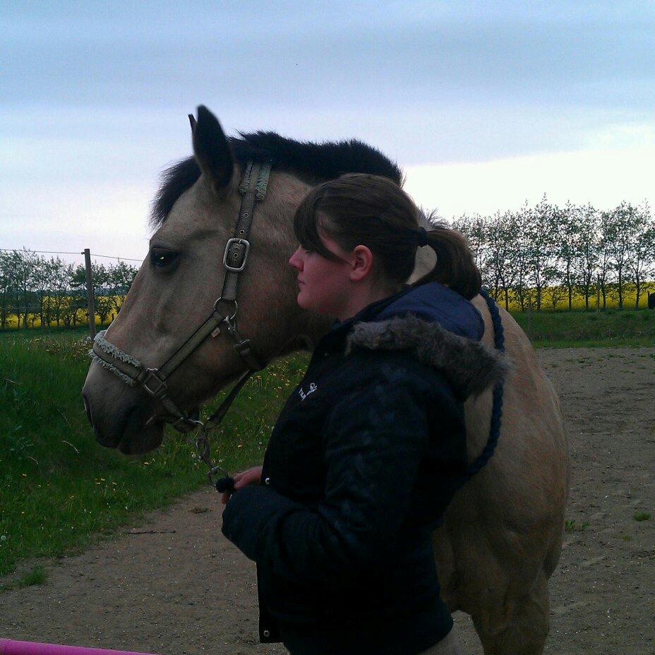 Palomino Skadekærs First Goldline (Grevinden) [Part] R.I.P billede 19